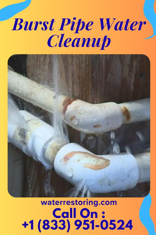 Burst Pipe Water Cleanup in St. Joseph, MN